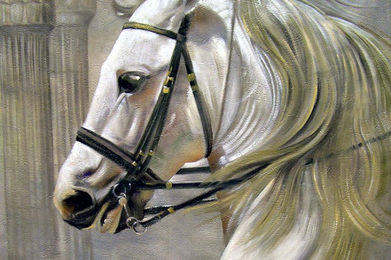 38 Horse